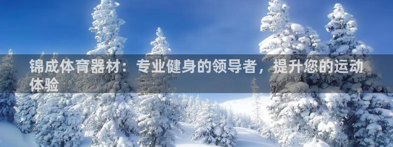 富联平台挂机赚钱：锦成体育器材：专业健身的领导者，提