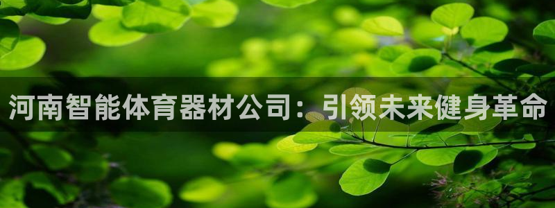 富联官网代理系列产品：河南智能体育器材公司：引领未来