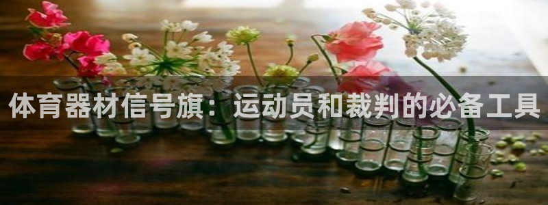 富联股份代码是多少：体育器材信号旗：运动员和裁判的必