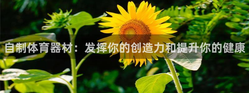 富联平台认可 585.34I 富联：自制体育器材：发