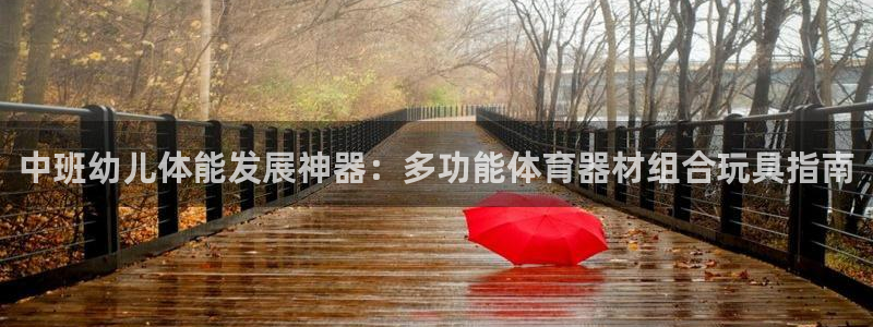 富联娱乐服务站怎么样：中班幼儿体能发展神器：多功能体