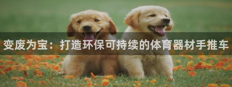 富联娱乐平台开户条件有哪些：变废为宝：打造环保可持续