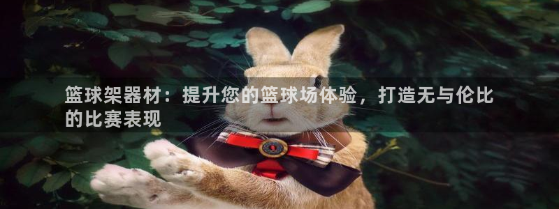 富联平台官网登录入口：篮球架器材：提升您的篮球场体验