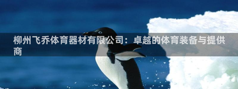 富联娱乐：柳州飞乔体育器材有限公司：卓越的体育装备与