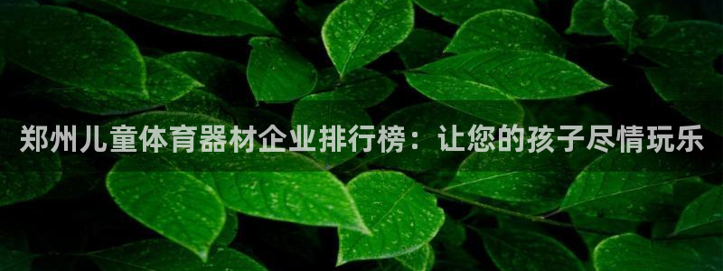 富联平台网站：郑州儿童体育器材企业排行榜：让您的孩子