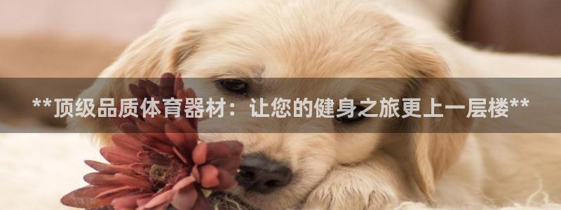富联股份股票怎么样：**顶级品质体育器材：让您的健身