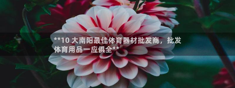 富联娱乐是真的吗还是假的：**10 大南阳最佳体育器