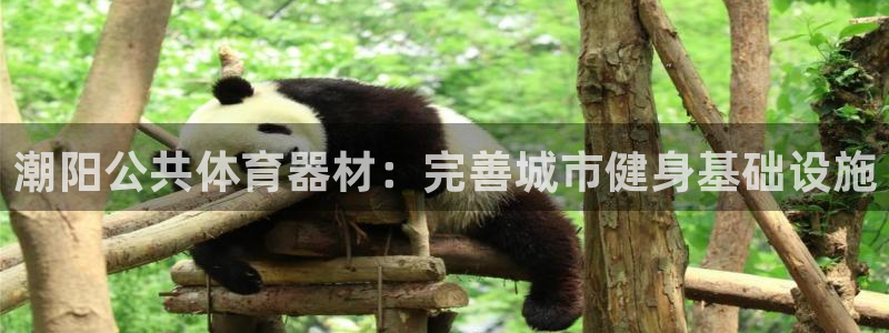 富联平台搜搜 5o69I7：潮阳公共体育器材：完善城