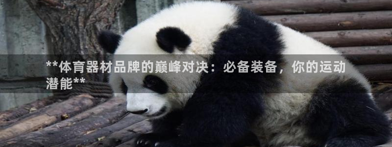 富联娱乐官方网站首页下载：**体育器材品牌的巅峰对决