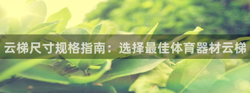 富联官方网站入口下载安装：云梯尺寸规格指南：选择最佳