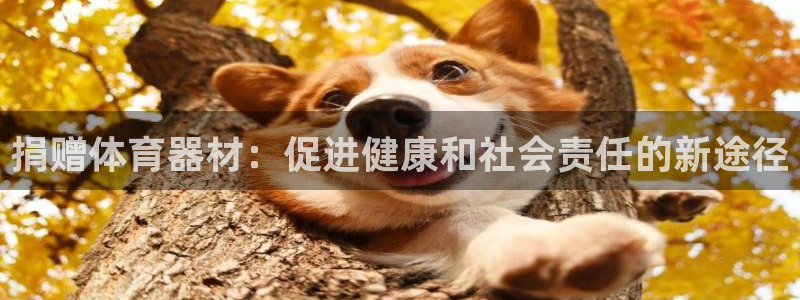 富联食品：捐赠体育器材：促进健康和社会责任的新途径