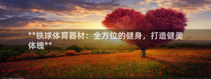 富联是什么股票板块：**铁球体育器材：全方位的健身，