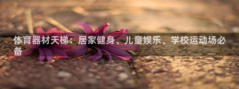 富联申购可以赚多少钱：体育器材天梯：居家健身、儿童娱