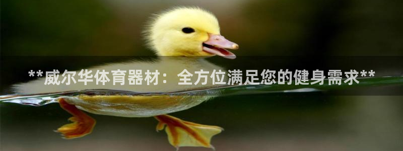 富联是什么平台：**威尔华体育器材：全方位满足您的健