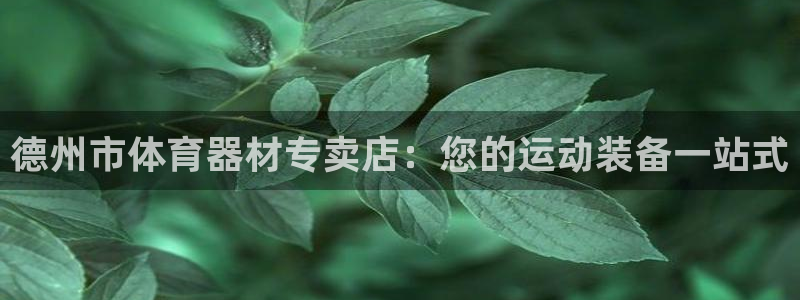 富联申购上市价格预测：德州市体育器材专卖店：您的运动