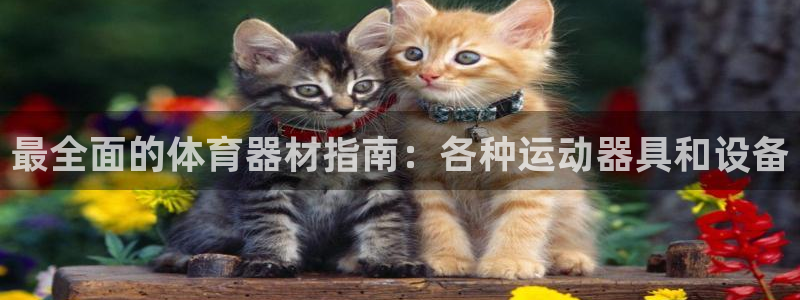 富联娱乐卜6.7.5.1.3.8：最全面的体育器材指