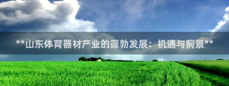 富联官网登录入口网址：**山东体育器材产业的蓬勃发展