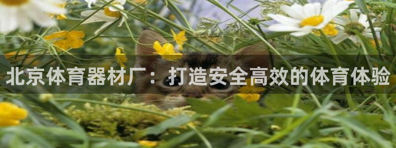 富联平台注册登录入口：北京体育器材厂：打造安全高效的