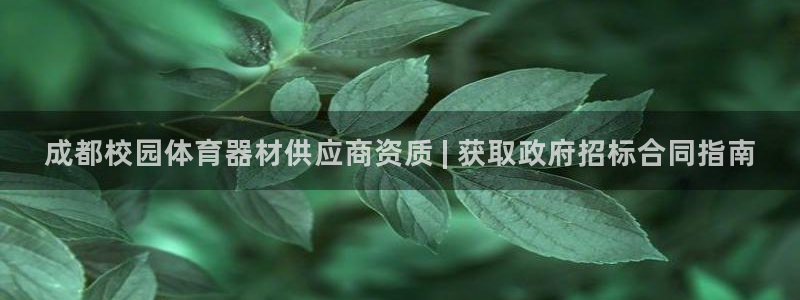 富联官方网站入口下载安卓：成都校园体育器材供应商资质