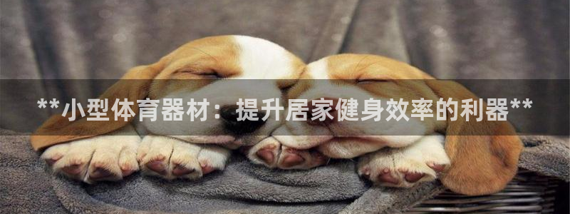 富联平台强 3.7.oo.7.3.5：**小型体育器