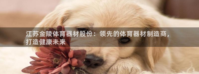 富联平台马 411O31 富联：江苏金陵体育器材股份
