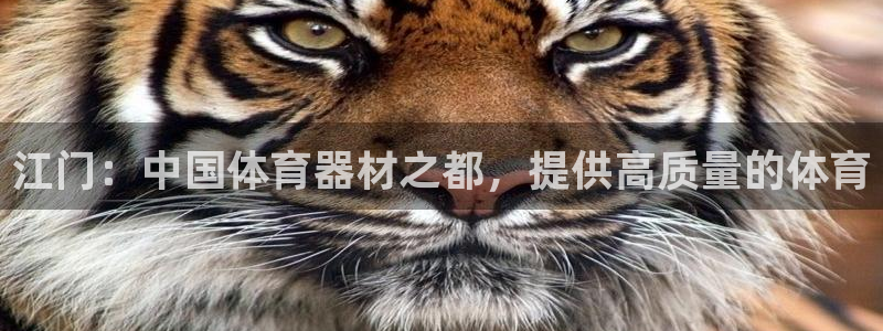 富联平台认可 585.34I 富联：江门：中国体育器
