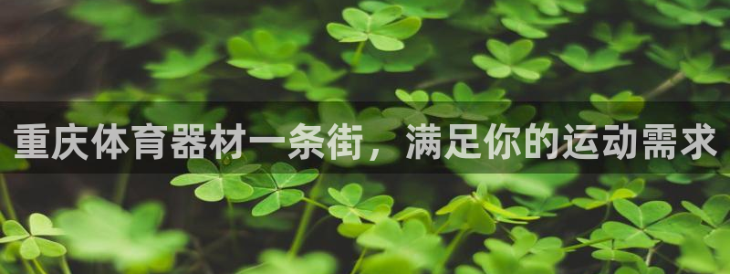 股票富联申购今天多少钱：重庆体育器材一条街，满足你的