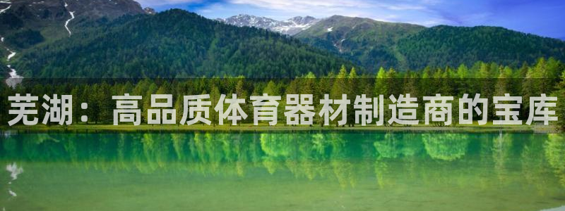 富联平台用户登陆不了：芜湖：高品质体育器材制造商的宝