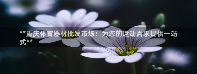 富联官网注册：**重庆体育器材批发市场：为您的运动需