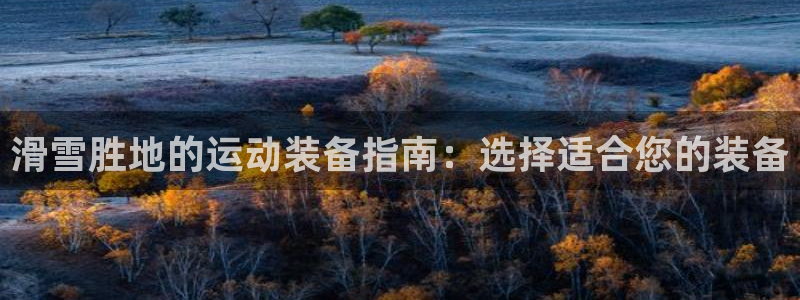 富联官方网站入口网址是多少：滑雪胜地的运动装备指南：