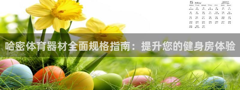 富联娱乐客服微信：哈密体育器材全面规格指南：提升您的