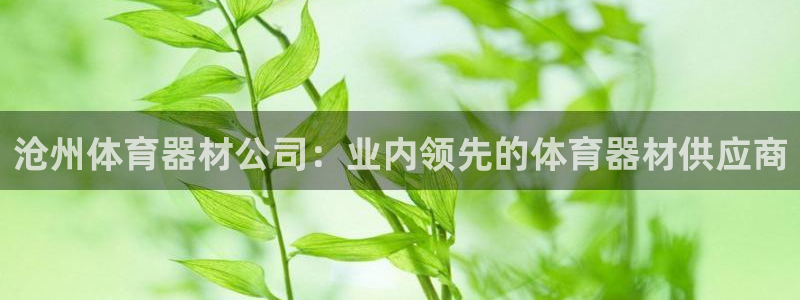 富联平台登录注册不了：沧州体育器材公司：业内领先的体