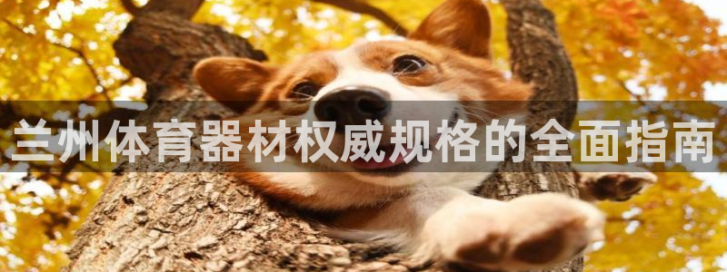富联娱乐会员账号怎么注销：兰州体育器材权威规格的全面