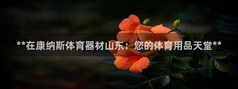 富联娱乐律7O777：**在康纳斯体育器材山东：您的
