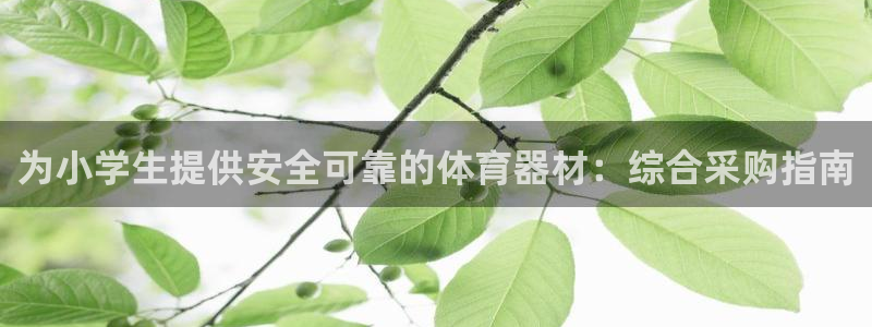 富联娱乐平台开户流程及时间：为小学生提供安全可靠的体