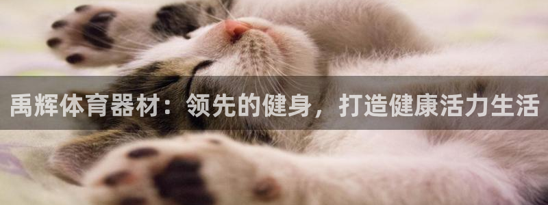 富联申购中签时间：禹辉体育器材：领先的健身，打造健康