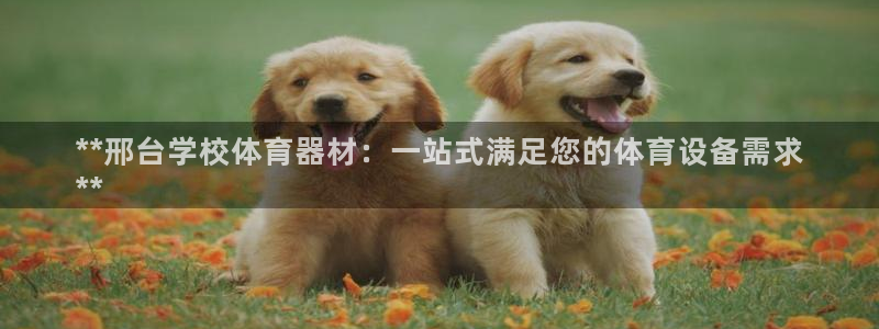 富联娱乐测速地址是什么：**邢台学校体育器材：一站式