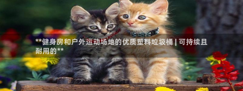 富联平台挂机赚钱：**健身房和户外运动场地的优质塑料