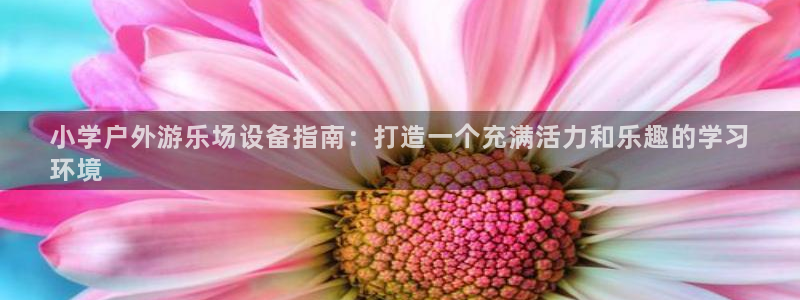 富联股份股票：小学户外游乐场设备指南：打造一个充满活