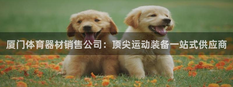 富联平台间7O777：厦门体育器材销售公司：顶尖运动