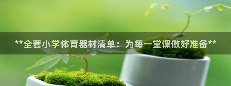 富联平台半7O777：**全套小学体育器材清单：为每