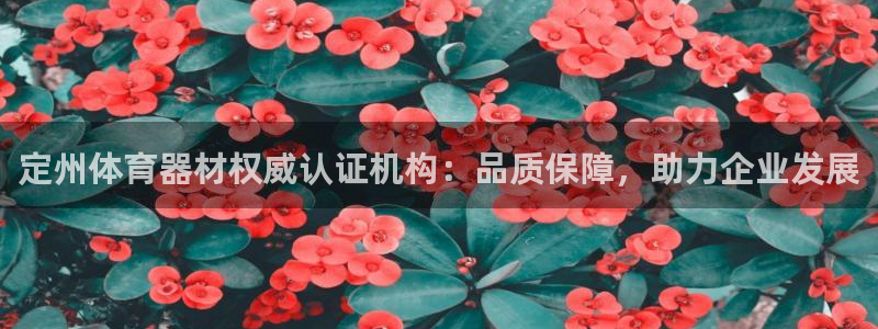 富联申购：定州体育器材权威认证机构：品质保障，助力企