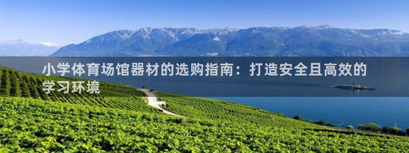 富联娱乐下载官网：小学体育场馆器材的选购指南：打造安