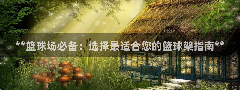 富联劳务：**篮球场必备：选择最适合您的篮球架指南*