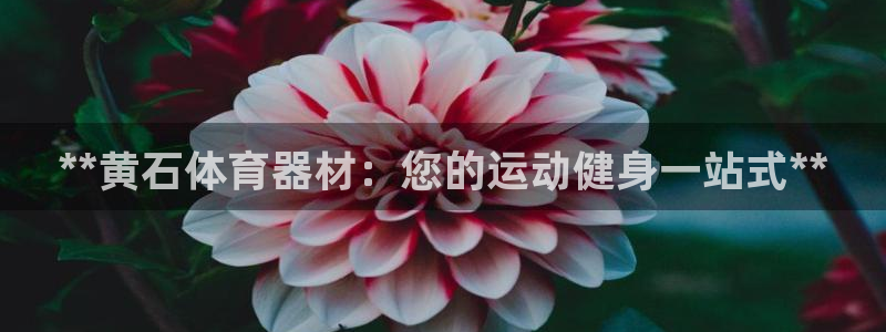 富联娱乐平台是什么：**黄石体育器材：您的运动健身一