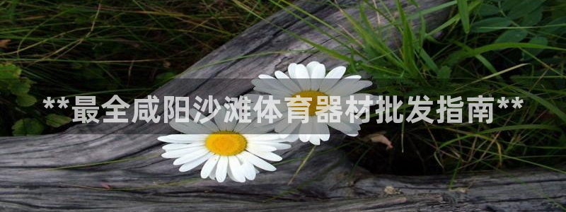 富联官方网站下载安装最新版：**最全咸阳沙滩体育器材