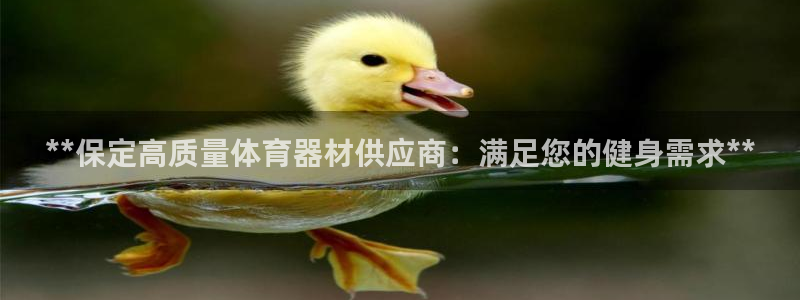 富联娱乐下载app：**保定高质量体育器材供应商：满