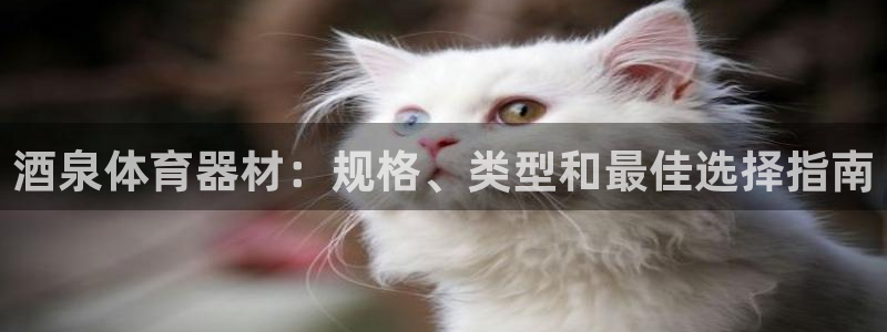 富联娱乐玩法机制：酒泉体育器材：规格、类型和最佳选择