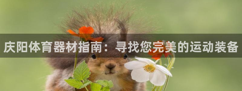 富联平台官网下载：庆阳体育器材指南：寻找您完美的运动