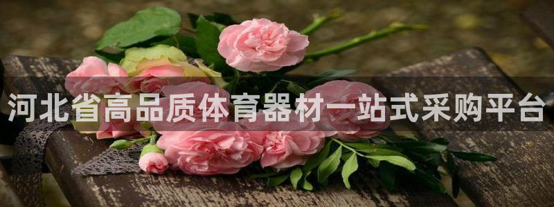 富联平台线路检测中心怎么样：河北省高品质体育器材一站